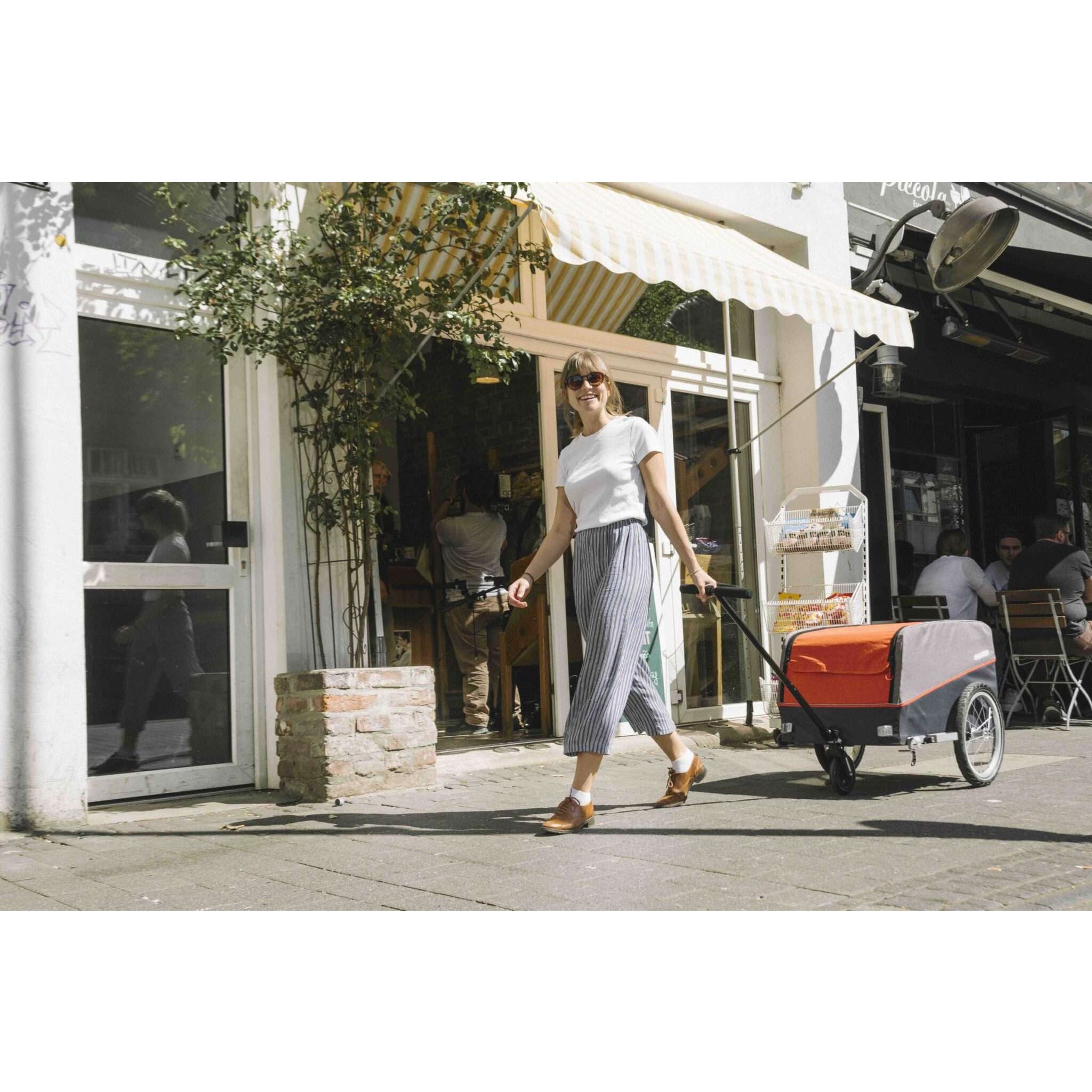 20180419_Croozer_Cargo-7994 20180419_Croozer_Cargo-7994
